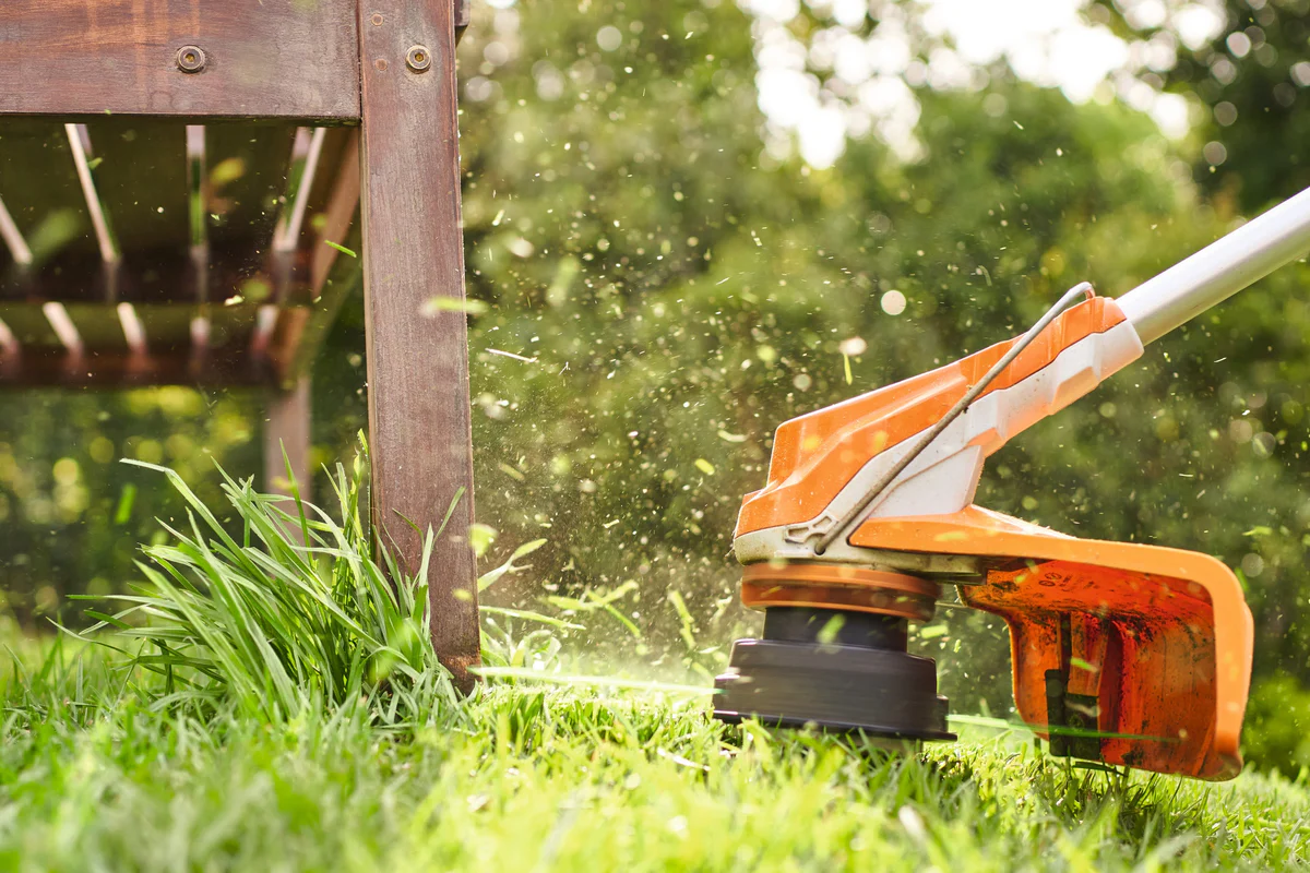 FSA85_hero_540x_1_1200x1200